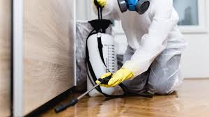 Best Real Estate Pest Inspections  in , NM